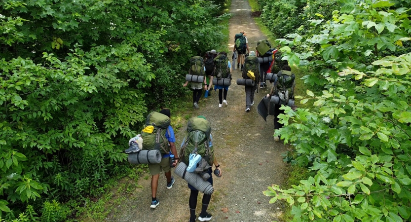 a group of backpackers hike along a path in green woods